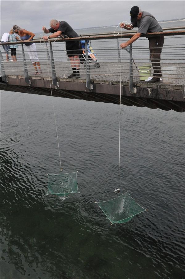 Hr fiskas det
